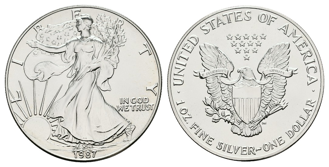  MGS USA 1 Dollar 2010 Silver Eagle Feingewicht: 31,07g   